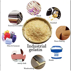 Food Grade Edible Hide/Bovine 120 - 280 Bloom 8 - 60 Mesh Beef Gelatin